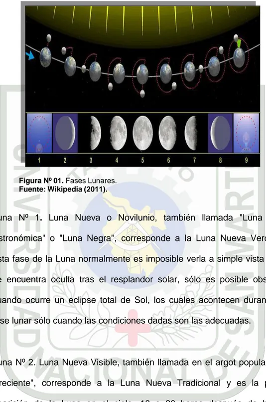 Figura Nº 01. Fases Lunares. 
