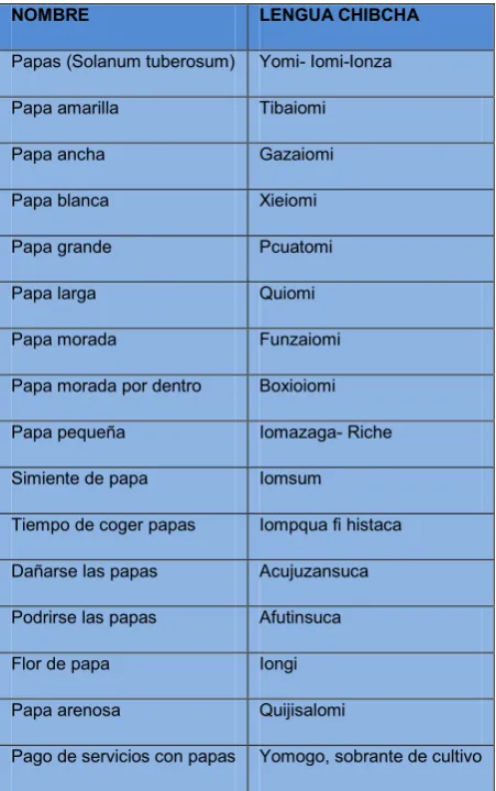 Cuadro 3. 