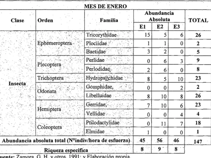Tabla N° 10. Abundancia absoluta y riqueza específica de los Macroinvertebrados  Acuáticos encontrados en cada estación de muestreo la Microcuenca Mishquiyacu, en el 