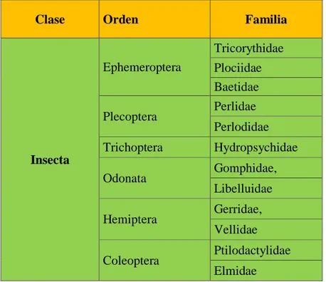 Tabla N° 06. Composición Taxonómica de Macroinvertebrados Acuáticos  encontrados en la Microcuenca Mishquiyacu en el mes de Enero de 2014