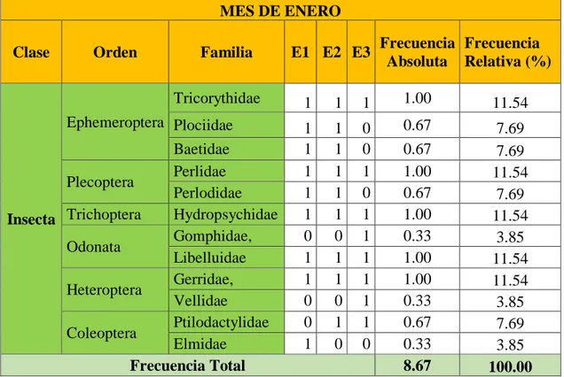 Tabla N° 16. Frecuencia absoluta y riqueza de los Macroinvertebrados Acuáticos  encontrados en cada estación de muestreo la Microcuenca Mishquiyacu, en el mes de 