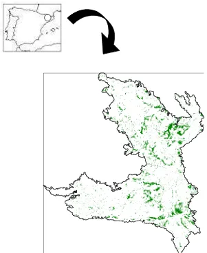 Figure 1: Unburned-island layer, obtained from a IRS-1C, LISS-III image, by means of a maximum likelihood