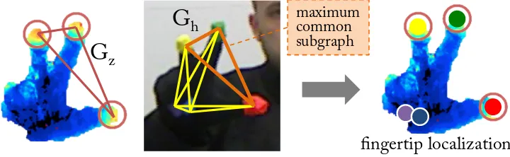 Figura 8.3: Fingertip localization scheme. Fingertip locations are inferred from theground-truth graph Gh by computing the Maximum Common Subgraph with respectto the test graph Gz.