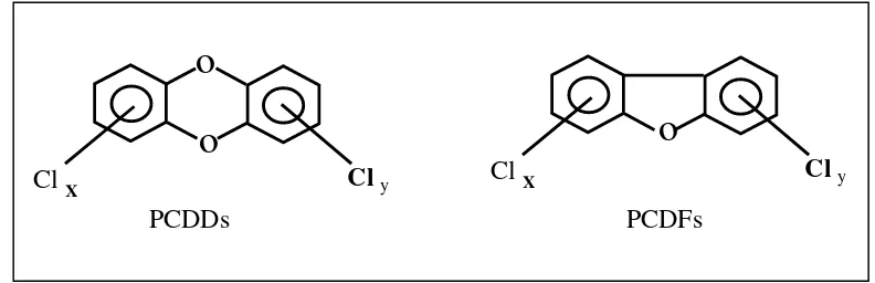 Figure 1. General chemical structure of PCDDs and PCDFs 