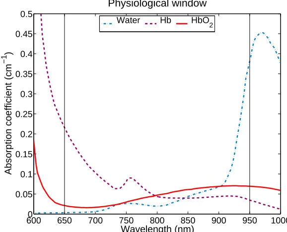 Fig . 1 .1 Abs o r pt io n ( µg a t io n is do mina nt by s c a t t e r ing e v e nt s a nd pho t o ns c a n pe ne t r a t e de e pic a l w indo w ”pa r t o f v is ible a nd ne a r inf r a r e d r a ng e 