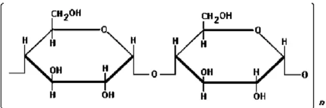 Figura 1: Estructura de amilosa, (Fuente: Repamar 2000). 