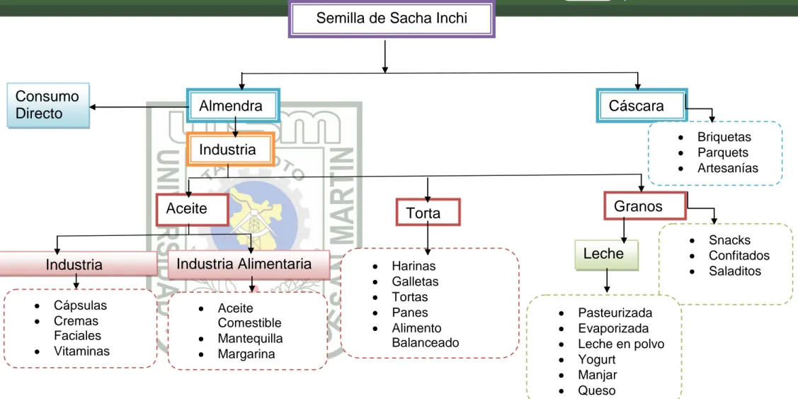 Figura Nº 02: Usos potenciales del Sacha Inchi. 
