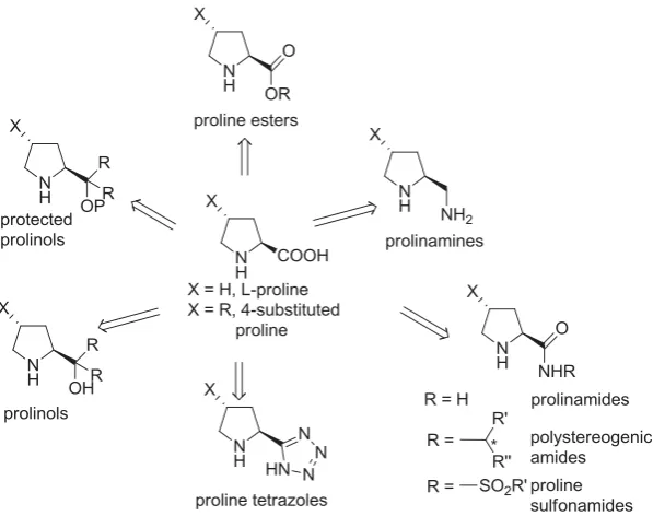 Figure 2.3. Classes of proline derivatives.