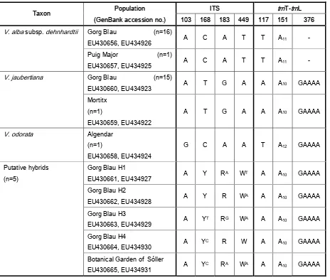 Table 3.5. Nuclear and chloroplast species-specific sites in taxa of Viola subsect. Viola from the Balearic 