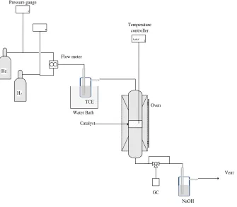 Fig. 5 67  TCE Hydrodechlorination experimental setup.