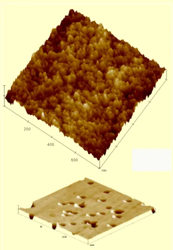 Figura 2. La membrana como barrera semipermeable  Figura 1. Imágenes de Microscopía de Fuerza Atómica de 