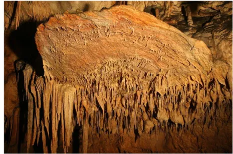 Figura 11: Disco en la Cueva de Domica, Eslovaquia. (Fuente: 