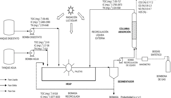 Figura 6. Esquema con los rangos de composiciones del sistema. 