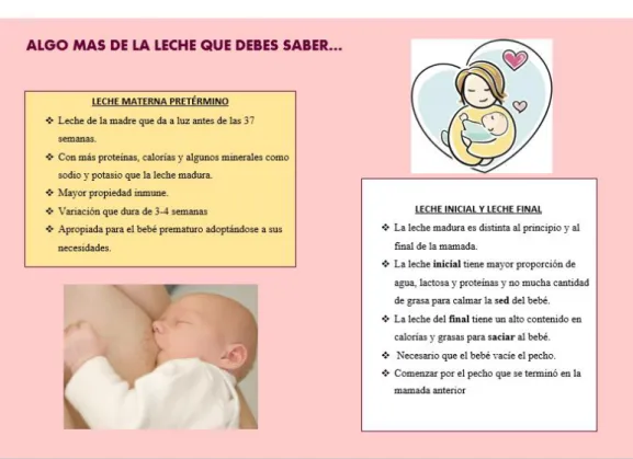 Figura 4: Parte 2 folleto ‘Variaciones de la Lactancia Materna’. Elaboración propia. 