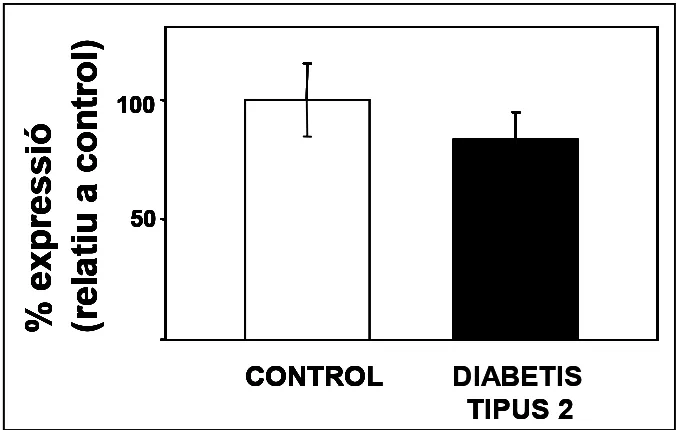 Figura 15. Expressió de Mitofusina-2 en pacients diabètics de tipus 2 no obesos.  Es va