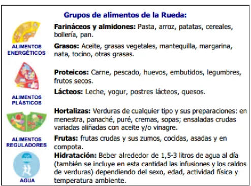 Figura 1: Rueda de alimentos 