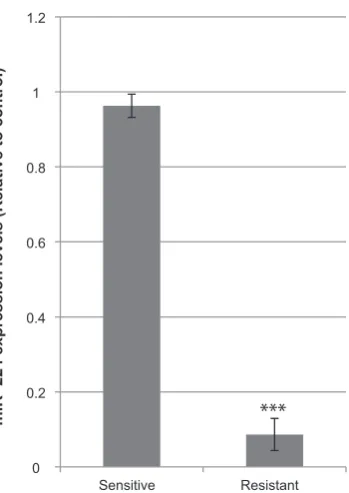 Fig. 2. Validation of miR-224 downregulation. Levels of miR-224 were determined 