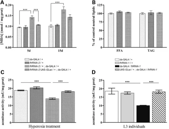 Figure 5. GLaz decreases lipid peroxidation levels and restores aconitase activity in frataxin-deficient flies