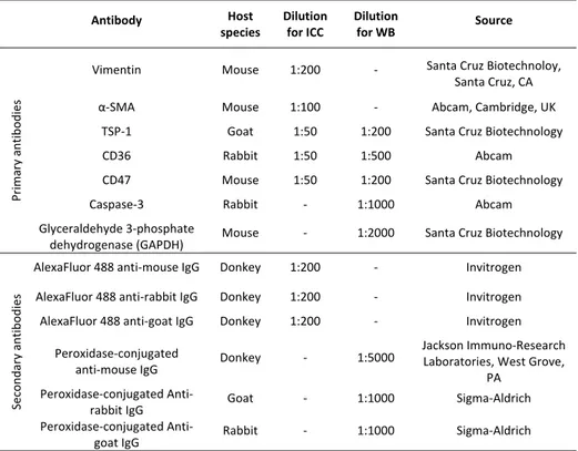 Table  1.  Antibody  sources  and  concentrations.  ICC  =  immunocytochemistry;  WB  =  Western  blotting.    Antibody   Host  species   Dilution for ICC  Dilution for WB  Source   Primary antibodies 