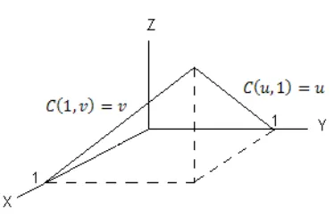 Figure 5  Margins of a copula at x = 1 and y = 1. 