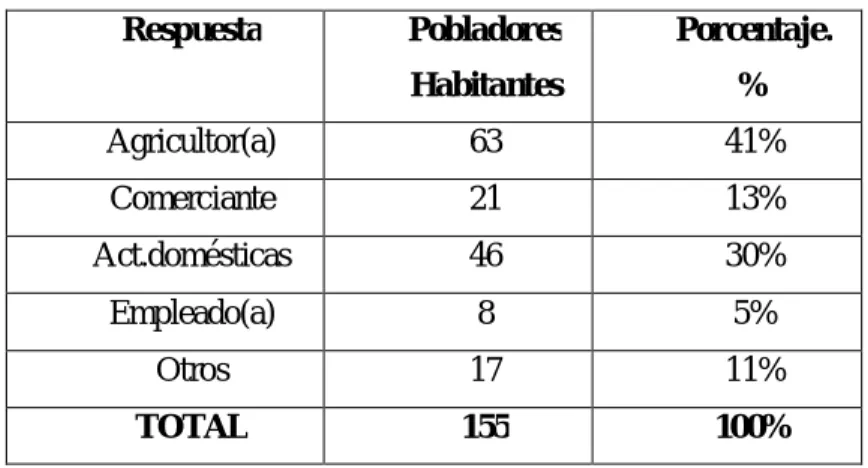 GRÁFICO N 5 