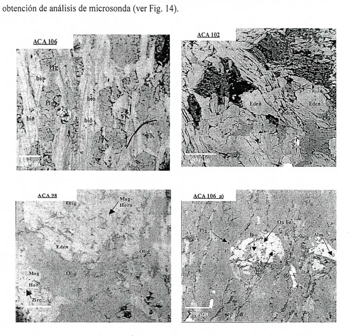Figura  14.  Microfotografias de microsonda electrónica (CAMECA  SX50)  de a) esquisto de biotita, b) y c)  anfibolita cálcica y d) esquisto de biotita con granate y sillimanita