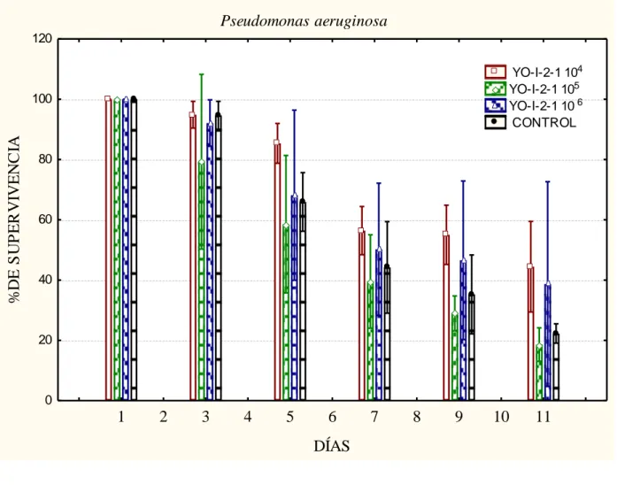 Figura 4. Supervivencia larvaria de Litopenaeus vannamei expuestos a la bacteria YO-I-2-1 a  diferentes concentraciones (10 4 (□), 10 5 (◊) y 10 6  (∆) UFC/mL y control (○))