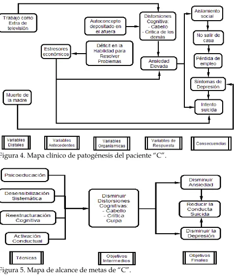 Figura 4. Mapa clínico de patogénesis del paciente “C”. 