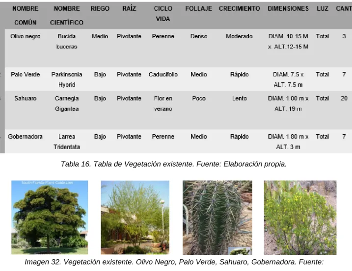 Tabla 16. Tabla de Vegetación existente. Fuente: Elaboración propia. 