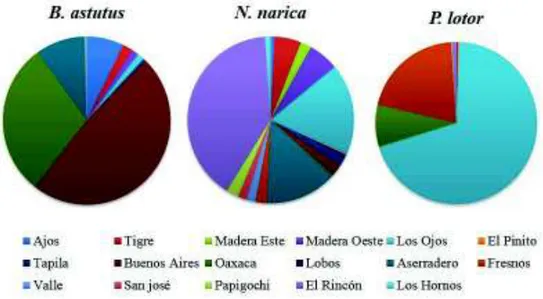 Figura 2. Distribución de los registros en los sitios de muestreo dentro del Estado de Sonora.