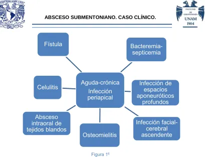 Figura 16 