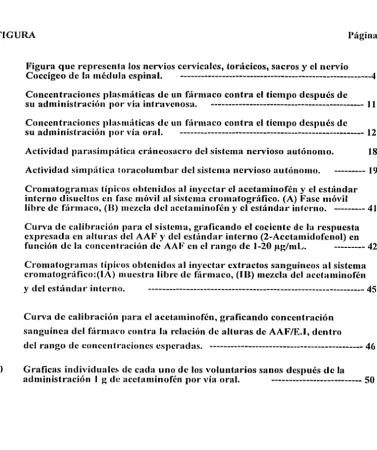 FIGURA 