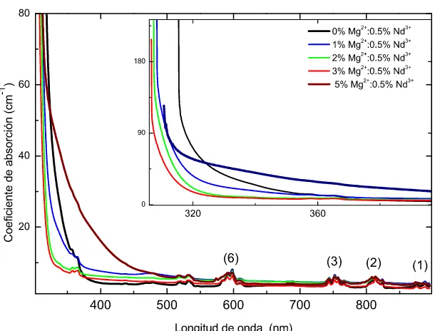 Figura 2.3: Borde de absorci´on y bandas de los cristales con concentraci´on ﬁja de Nd3+diferentes concentraciones de Mg y2+.