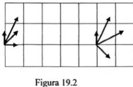 Figura 19.2 
