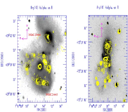 Figura 1.12. Imágenes de Arp 143 y Arp 141 en la banda R, con contornos de Hα superpuestos usando los datos de este trabajo