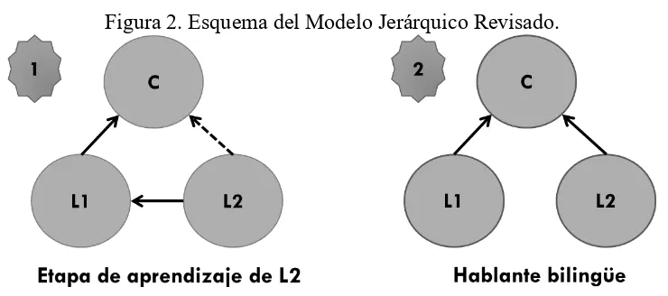 Figura 2. Esquema del Modelo Jerárquico Revisado. 