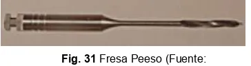 Fig. 31 Fresa Peeso (Fuente: 