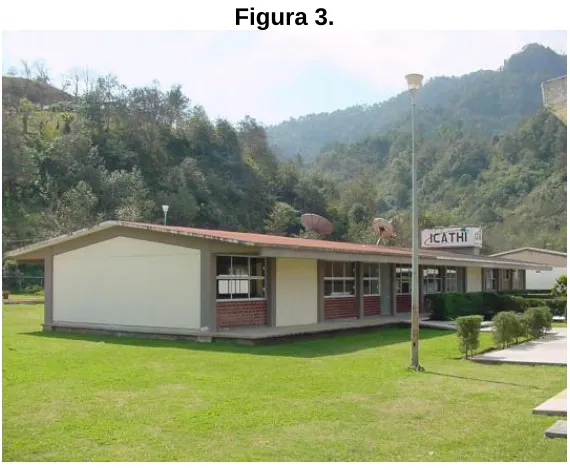 Figura 3. 
