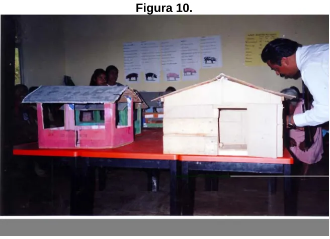 Figura 10. 