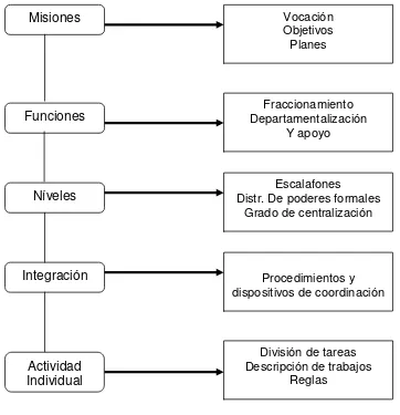 Fig. 1,  ESTAPAS DE PROCESO DE ORGANIZACIÓN POR ANNIE BARTOLI12