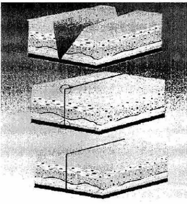 Figura 3 