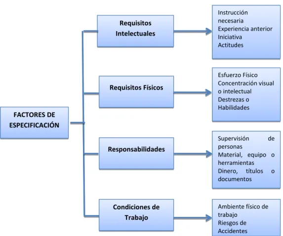 Ilustración 8: Factores de Especificación 