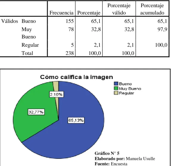 Gráfico N° 5 
