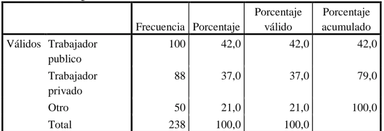Gráfico N° 10 