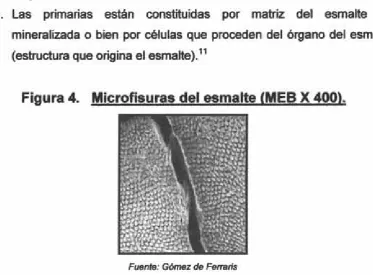 Figura 4.