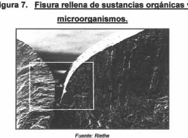Figura 7.
