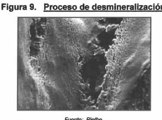 Figura 10.