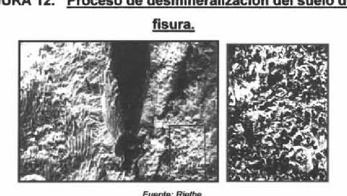 FIGURA 12.