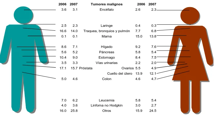 Figura. 2. Distribución porcentual de las defunciones por tumores malignos para cada sexo 2006-2007