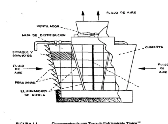 FIGURA 1.1 